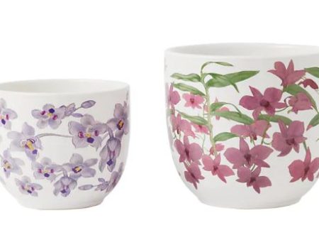 Maxwell & Williams Royal Botanic Gardens - Australian Orchids Planters Set Of 2 - Pink & Lilac Online Sale