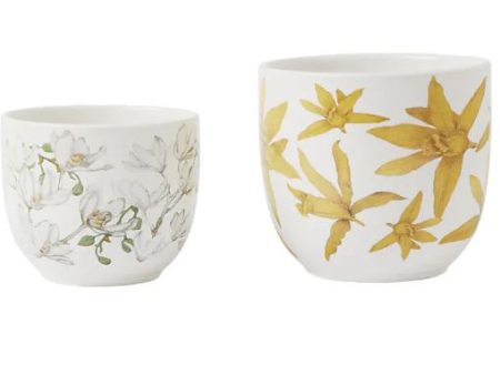 Maxwell & Williams Royal Botanic Gardens - Australian Orchids Planters Set Of 2 - Yellow & White Fashion