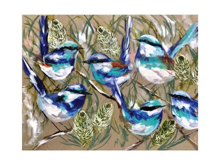 Blue Wrens Hard Backed Placemats Online