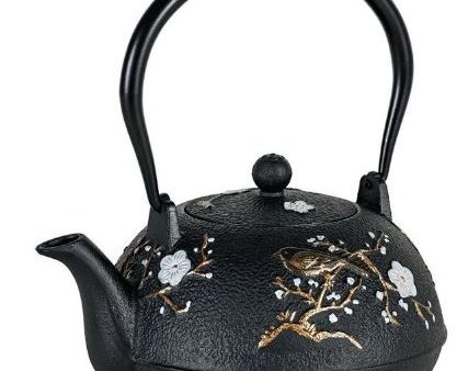 Avanti Cast Iron Cherry Blossom Teapot - 1.1l - Black For Discount