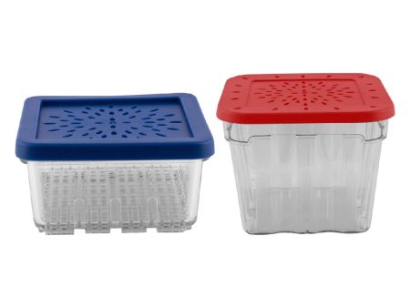 Avanti Berry Baskets 2 Piece Set on Sale