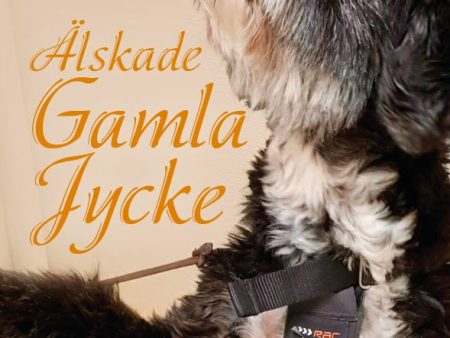 Älskade gamla jycke Supply